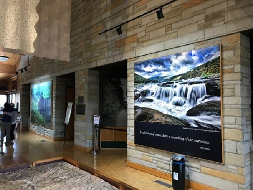 Interior of a building featuring large nature-themed wall murals and a stone wall, with a person in the background.