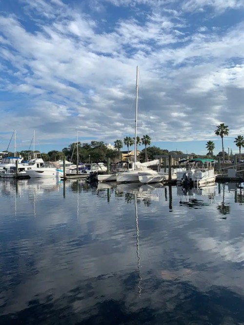 A serene marina scene with boats docked, palm trees, and a cloudy sky reflected in calm water.