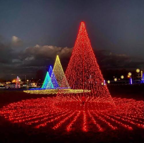 Colorful illuminated Christmas trees in red, yellow, and blue against a dark sky, creating a festive atmosphere.