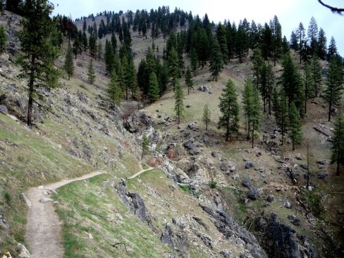 A winding dirt path through a rocky hillside, surrounded by tall pine trees and a mountainous landscape.