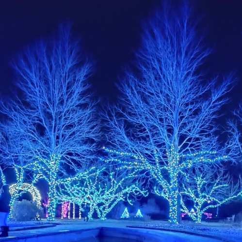 A serene night scene featuring trees illuminated with blue lights, creating a magical winter atmosphere.