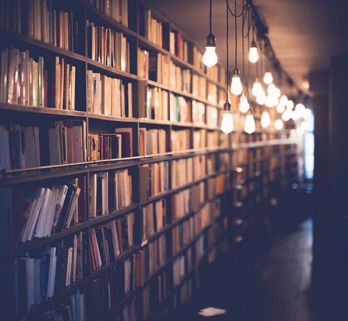 A cozy library with shelves filled with books and warm hanging lights illuminating the space.