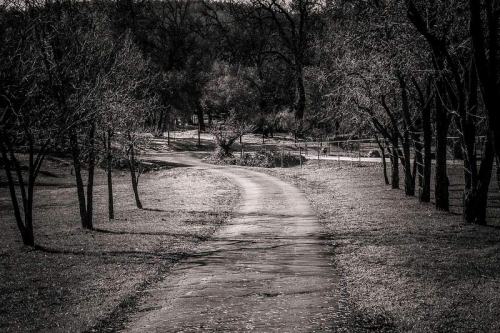 A winding path through a tree-lined landscape, captured in black and white, evoking a serene, tranquil atmosphere.