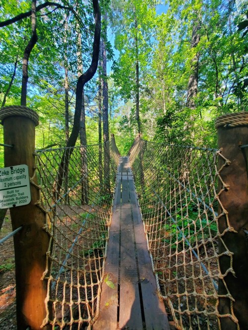 A narrow suspension bridge surrounded by lush green trees, leading into a forested area.