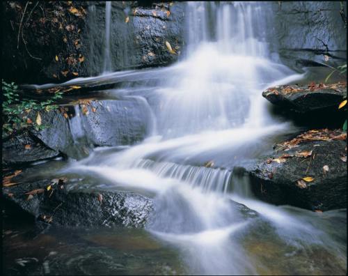 A serene waterfall cascading over smooth rocks, surrounded by lush greenery and fallen leaves.