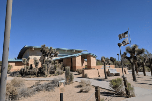A modern building surrounded by desert vegetation, with flags flying in front against a clear blue sky.