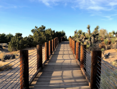 A wooden boardwalk leads through a desert landscape with shrubs and trees under a clear blue sky.