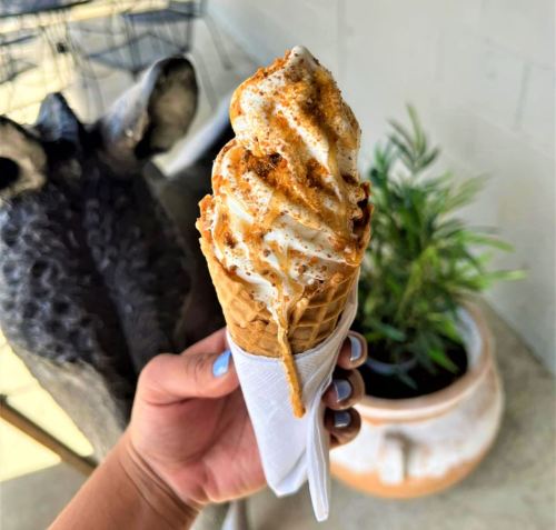 A hand holding a cone of soft-serve ice cream topped with caramel and crushed cookies, with a plant in the background.