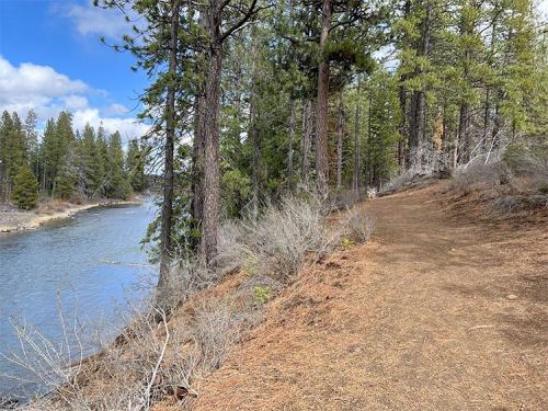A scenic riverbank path lined with tall trees and shrubs, under a partly cloudy sky.