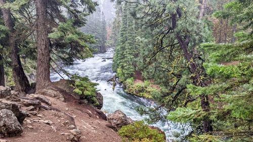A misty river flows through a lush forest, surrounded by tall trees and rocky banks.