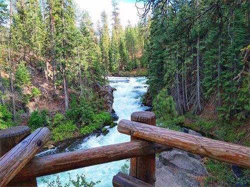 A scenic view of a rushing river surrounded by lush green trees and a wooden railing in the foreground.