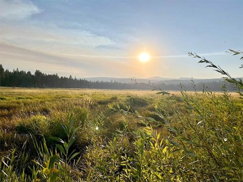 A serene landscape at sunrise, featuring a grassy field and distant trees under a clear sky.