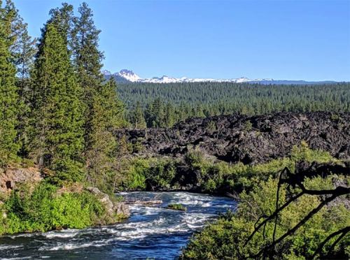 A scenic view of a river flowing through lush greenery, with mountains and a clear blue sky in the background.