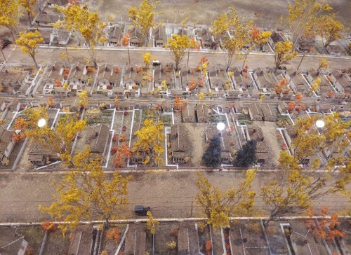 Aerial view of a model village with rows of houses and autumn trees, showcasing a detailed miniature landscape.