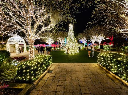 A festive garden illuminated with colorful Christmas lights, featuring a decorated tree and people enjoying the scene at night.