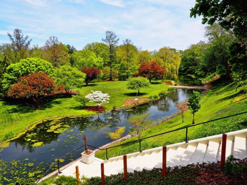 A serene park scene featuring a pond, lush greenery, colorful trees, and a staircase leading down to the water.