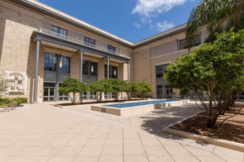 A sunny courtyard with a small pool, surrounded by greenery and modern architecture.