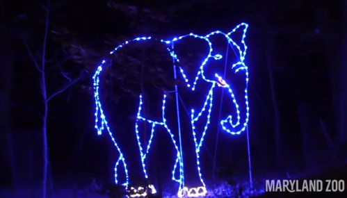 A glowing blue elephant made of lights stands in a dark setting, surrounded by trees.
