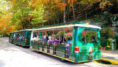 A green tourist tram with passengers travels along a scenic, tree-lined road in autumn.