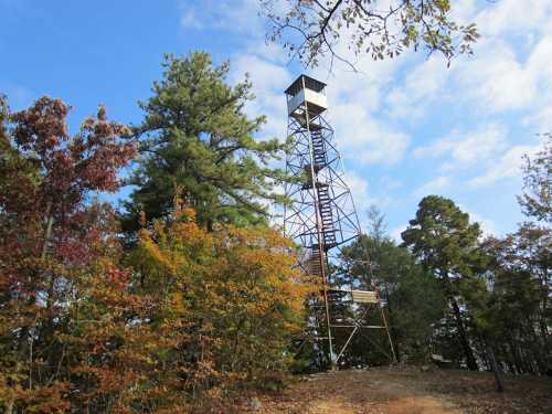 A tall fire lookout tower surrounded by colorful autumn trees under a blue sky with scattered clouds.