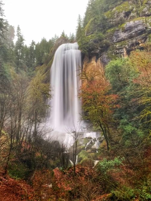 A majestic waterfall cascades down rocky cliffs, surrounded by lush greenery and autumn-colored foliage.