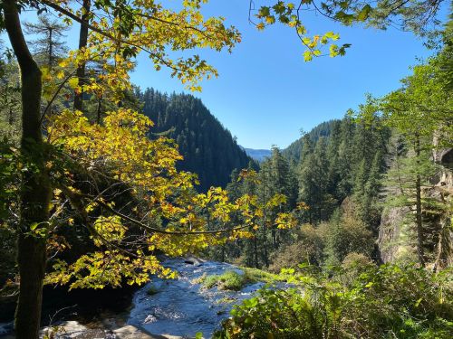 A scenic view of a forested valley with autumn leaves and a clear blue sky above a flowing stream.