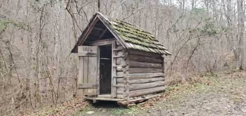 A rustic wooden shed with a slanted roof, surrounded by trees in a wooded area.