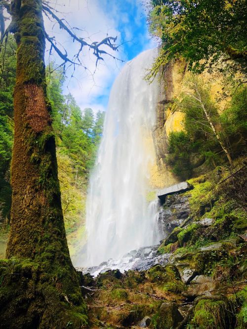 A majestic waterfall cascades down rocky cliffs, surrounded by lush green trees and a bright blue sky.