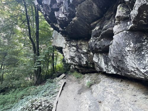 A rocky overhang in a forested area, with a dirt path leading through lush greenery.