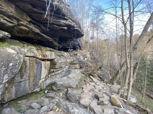 Rocky terrain with layered cliffs and sparse trees under a clear blue sky.