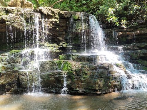 A serene waterfall cascading over moss-covered rocks into a calm pool, surrounded by lush greenery.