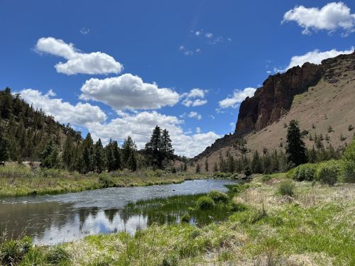 A serene river flows through a lush landscape, surrounded by trees and rocky cliffs under a blue sky with fluffy clouds.