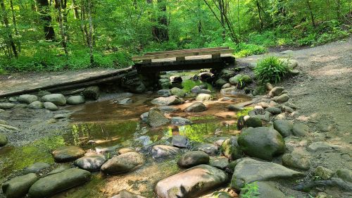 A wooden bridge over a small stream surrounded by lush green trees and large rocks.