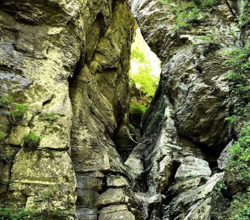 A narrow canyon with towering rock walls and greenery peeking through the top, creating a serene natural scene.
