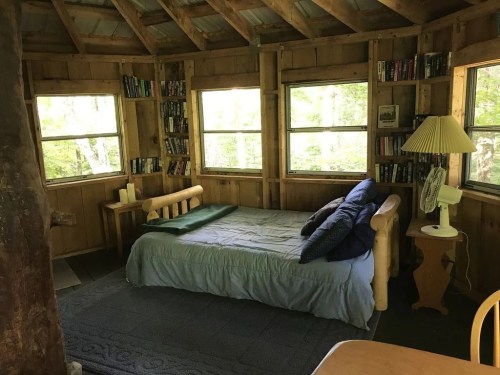 Cozy wooden cabin interior with a bed, bookshelves, and large windows letting in natural light.