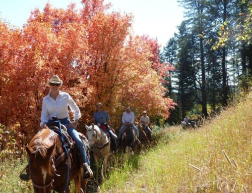 A group of people riding horses along a trail surrounded by vibrant autumn foliage.