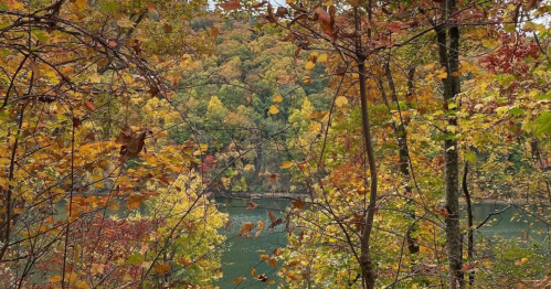 Fall foliage in South Carolina surrounding Lake Jocassee.