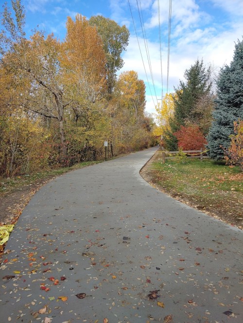 A winding path through trees with autumn foliage, under a blue sky with scattered clouds.
