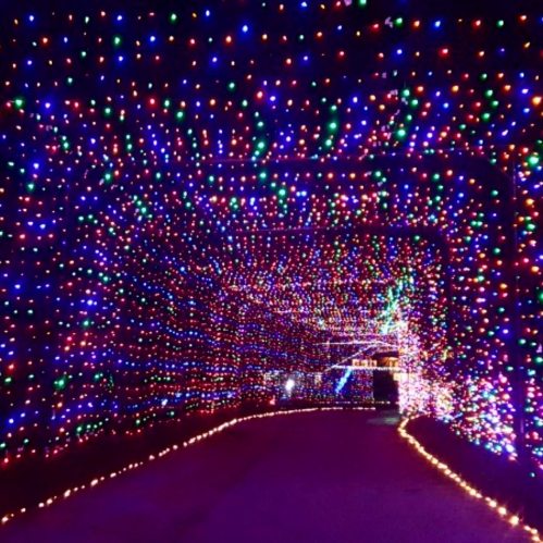 A colorful tunnel of bright, multicolored lights illuminating a pathway, creating a festive atmosphere.