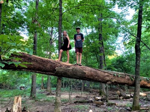 Two children stand on a fallen tree trunk in a lush green forest, surrounded by tall trees and foliage.