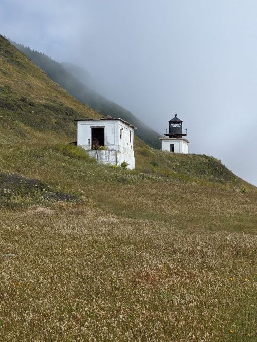 Two weathered lighthouses stand on a grassy hillside, shrouded in mist and surrounded by wildflowers.