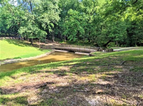 A serene landscape featuring a small wooden bridge over a calm stream, surrounded by lush green trees and grass.