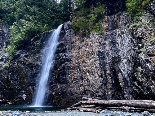 A serene waterfall cascading down rocky cliffs, surrounded by lush greenery and fallen logs at the water's edge.