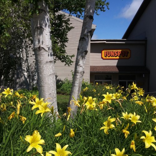 A building with a sign reading "FUNSPOT" surrounded by vibrant yellow flowers and trees on a sunny day.