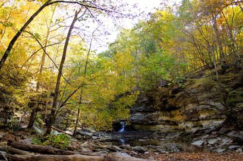 A serene forest scene with vibrant autumn foliage, a rocky landscape, and a small waterfall in the background.
