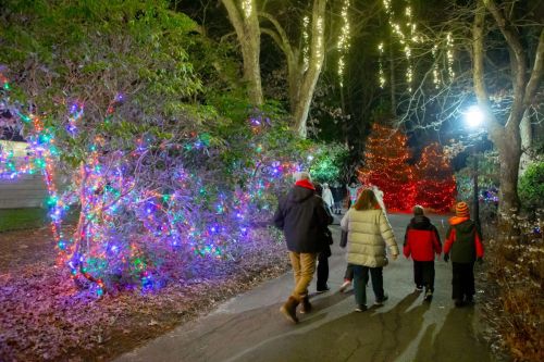 A group of people walks along a path adorned with colorful holiday lights in a festive outdoor setting.