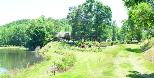 A serene landscape featuring a pond, lush greenery, and a garden with a house in the background under bright sunlight.