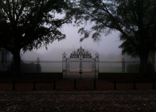 A foggy scene featuring an ornate iron gate surrounded by trees, with a cobblestone path in the foreground.