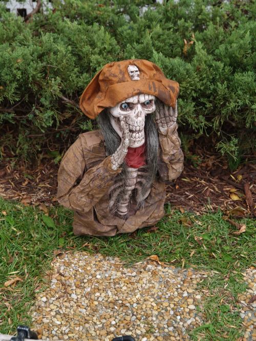 A skeleton in a pirate hat and tattered clothing, crouching among greenery, with a surprised expression.