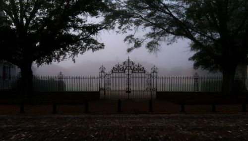 A foggy scene featuring an ornate iron gate surrounded by trees, with a cobblestone path in the foreground.